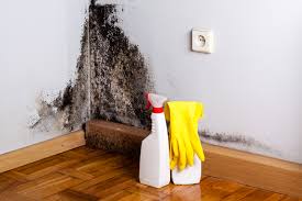 Best Emergency Mold Remediation  in Poplar Cotton Center, CA